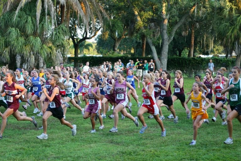 Run Entraînement :