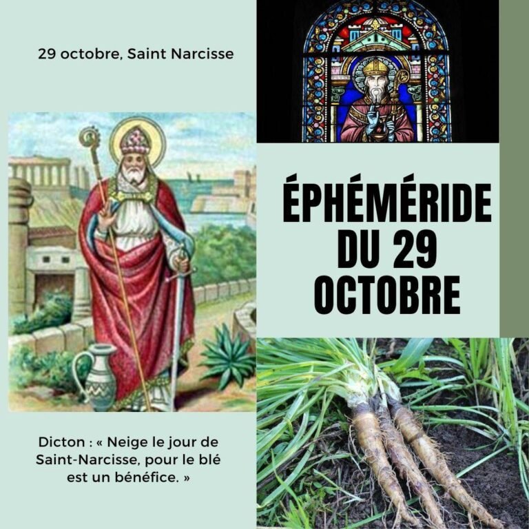29 octobre, Saint Narcisse