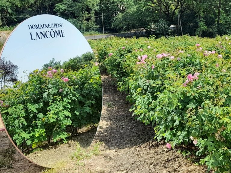 Le Domaine de la Rose by Lancôme