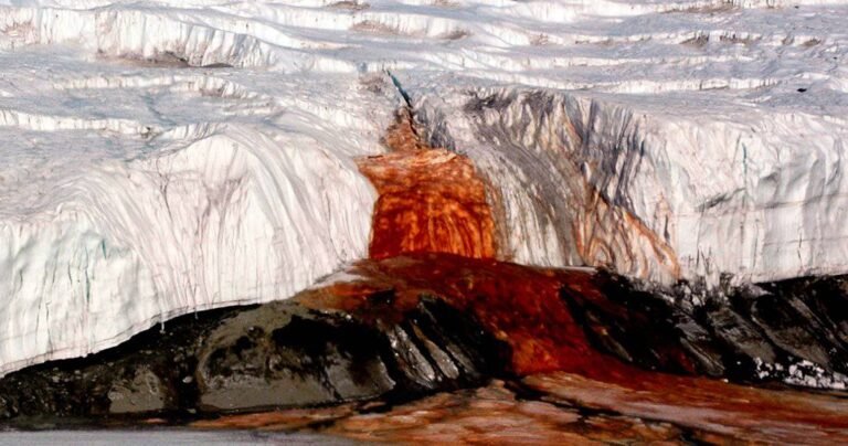 Les mystérieuses « Cascade de sang »