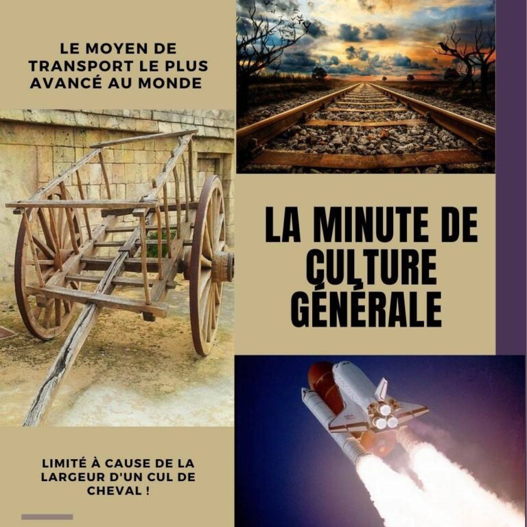 Le moyen de transport le plus avancé au monde