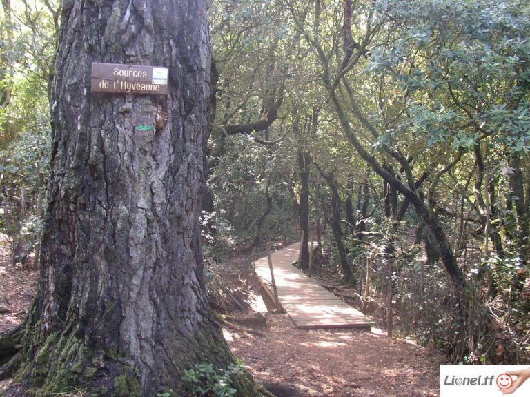 Fermeture temporaire du vallon de Castelette