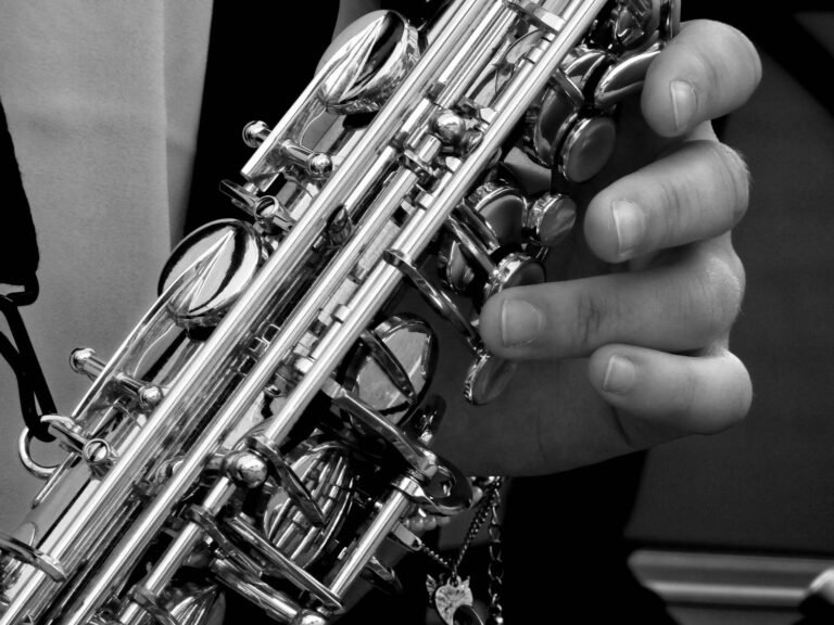 Festival Roq’in Jazz