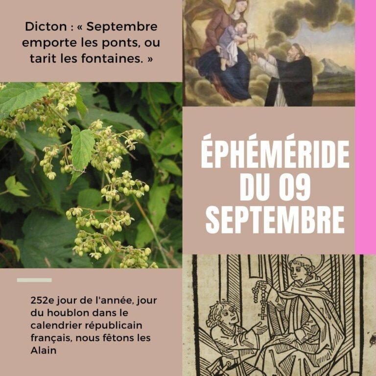9 septembre, Saint Alain