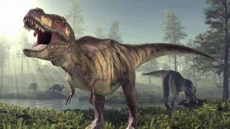 Le T-Rex marchait aussi lentement que l’être humain