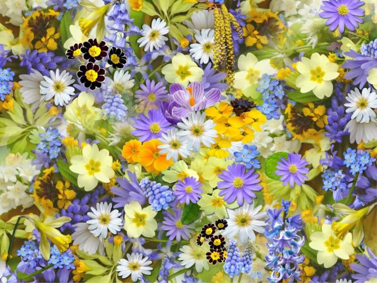Journée des Plantes