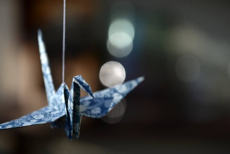 Wabi Sabi, le parcours de l’œuvre