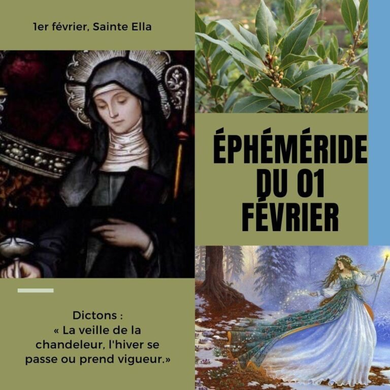 1er février, Sainte Ella
