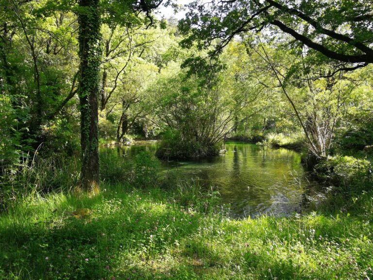 Le Domaine des Sources et de la Siagne
