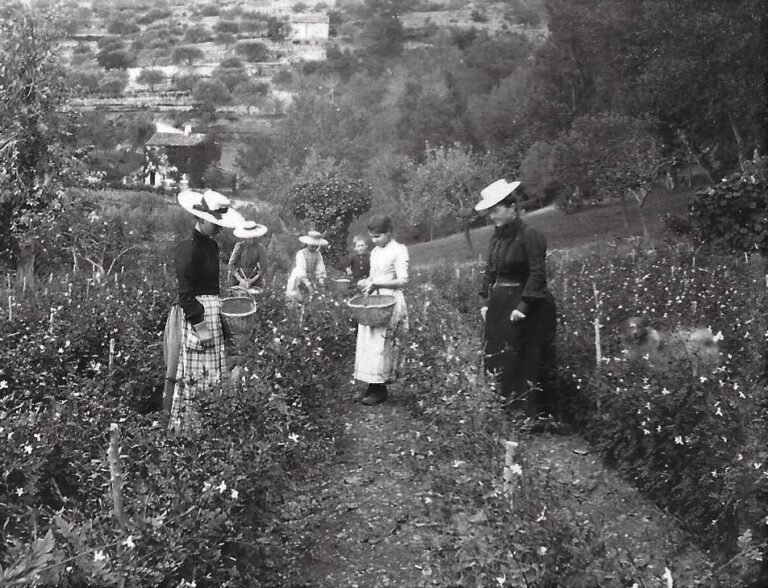 Les chemins parfumés de la Vicomtesse de Savigny