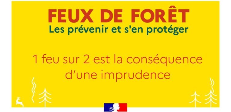 Feux de forêt
