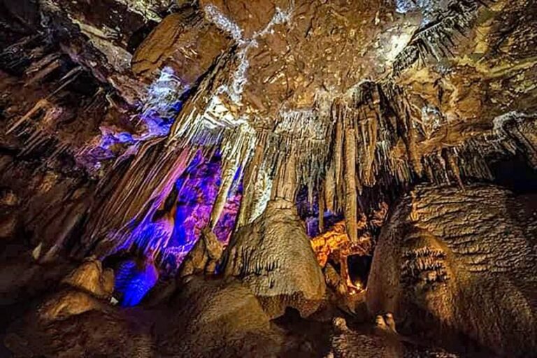 Partez à la découverte de La grotte de Baume Obscure
