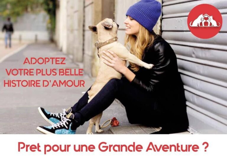 Au Profit des Animaux !