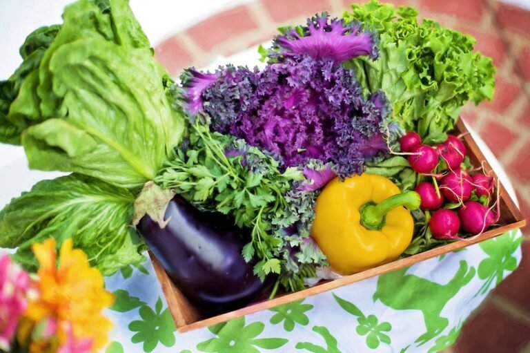 « Amoureux des potagers »
