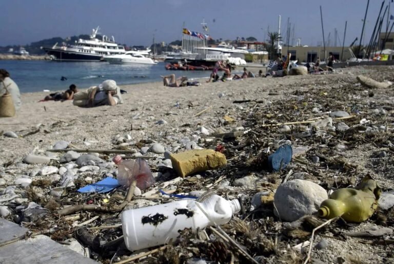 100kg de déchets collectés en une journée