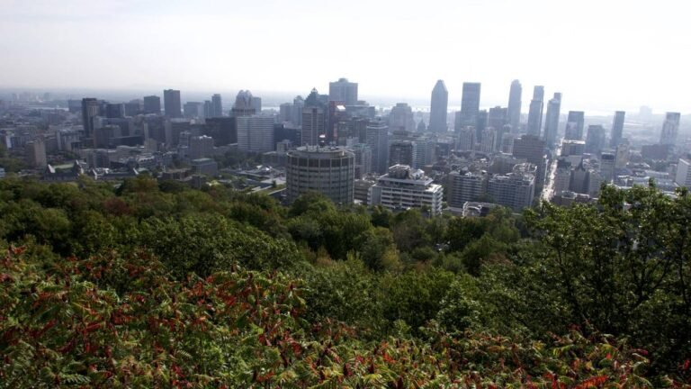 GrasseMat’ vous emmène à Montréal