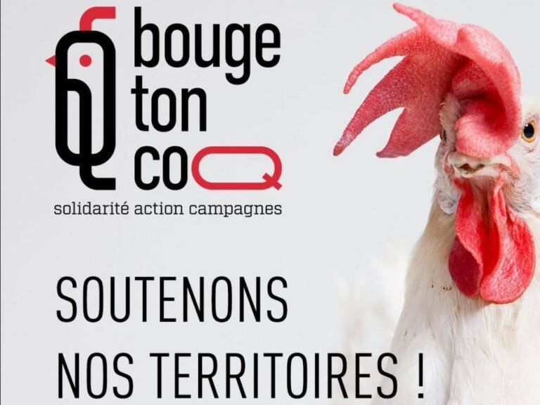 Réunion publique épicerie Participative
