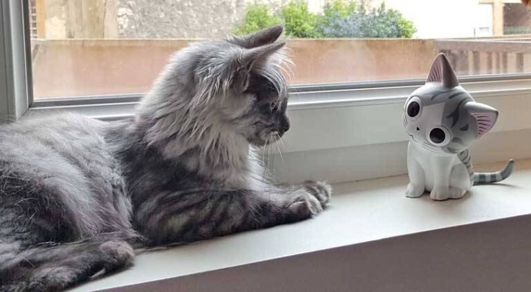 Au Japon c&rsquo;est le Jour des chats
