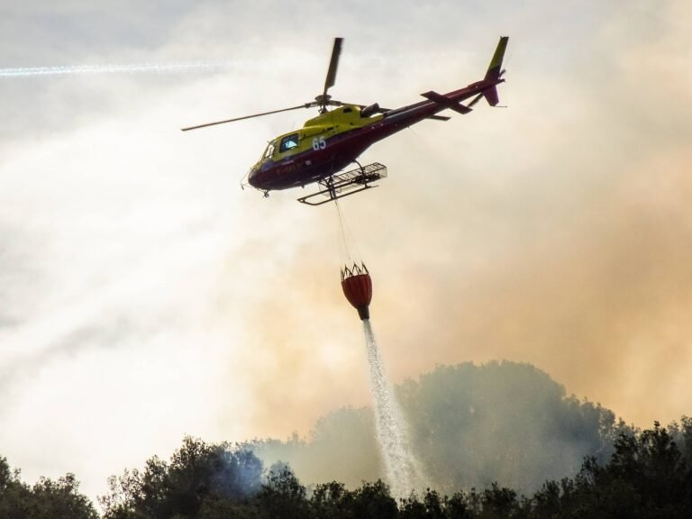 Les Alpes-Maritimes en Première Ligne contre les Feux de Forêts