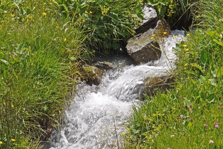 Source de l’Adrech