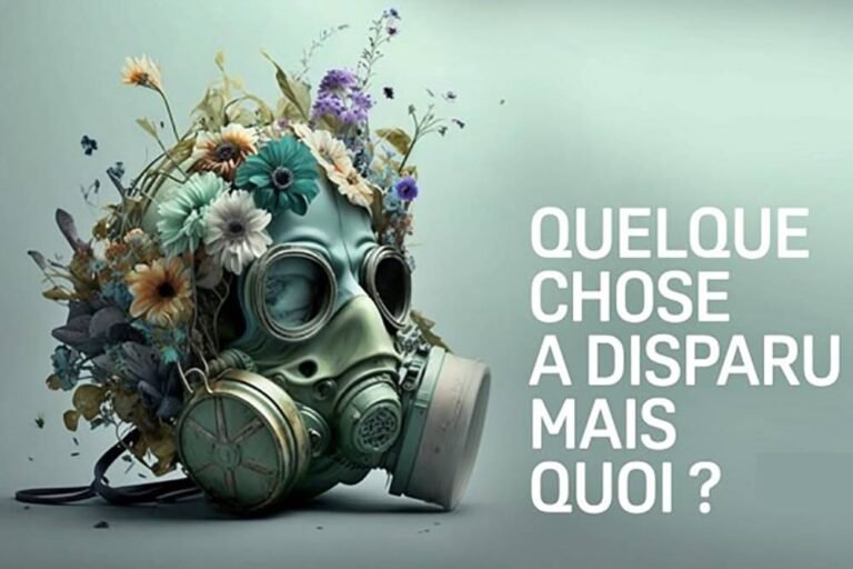 Quelque chose a disparu mais quoi ?