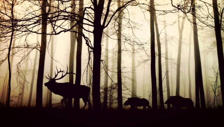 « Barbaries » : un livre-manifeste pour le bien-être animal