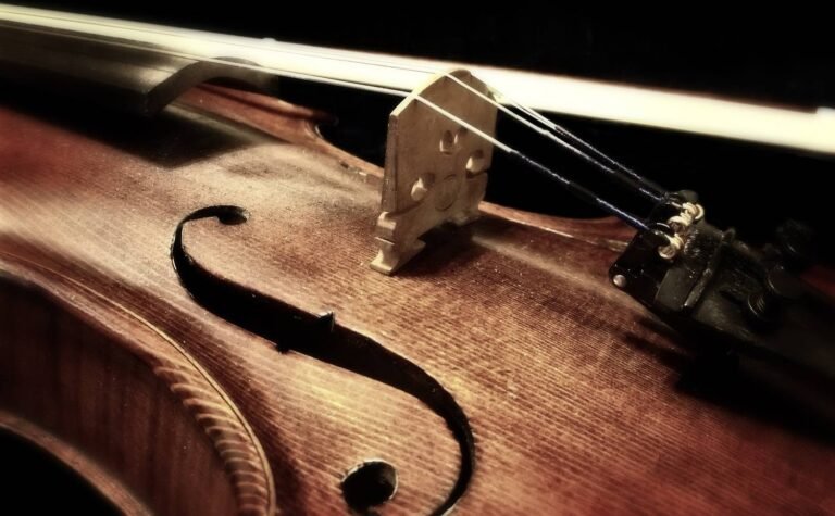 Les plus grands airs de violon…