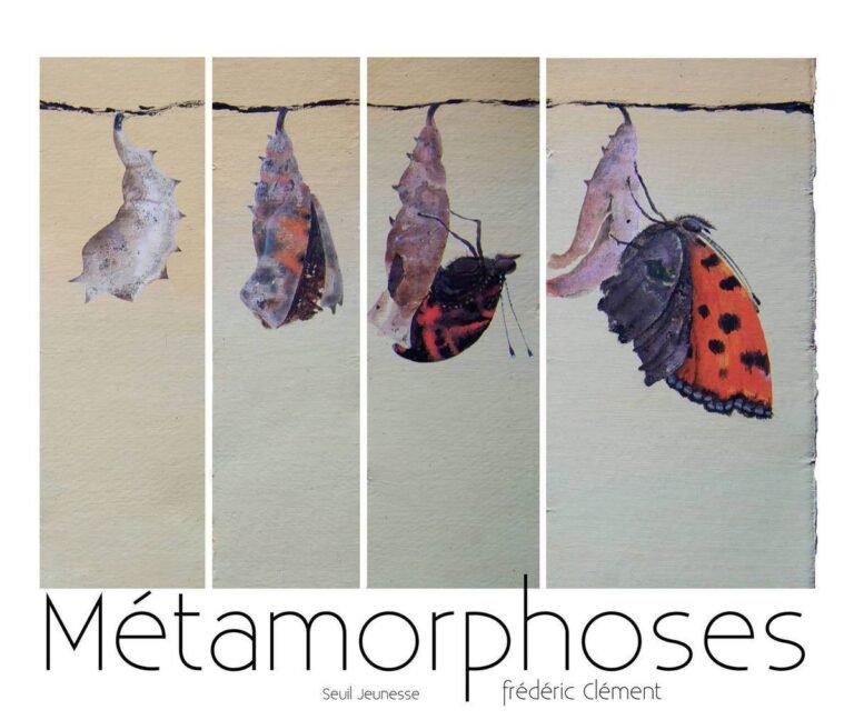Métamorphoses lecture croisée