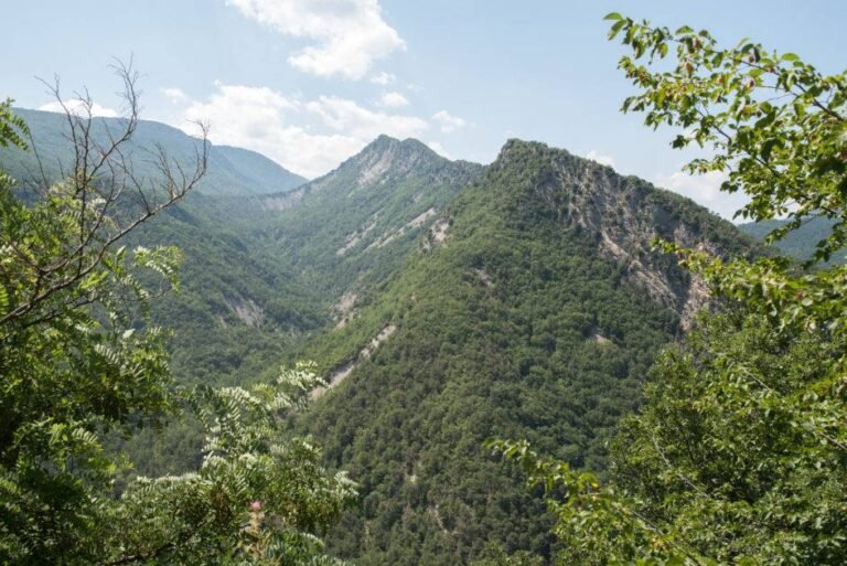La révision de la charte du Parc régional des Préalpes d’Azur est engagée