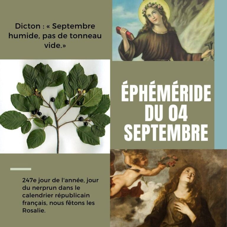 4 septembre, Sainte Rosalie