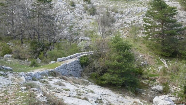 Le printemps sur un plateau…