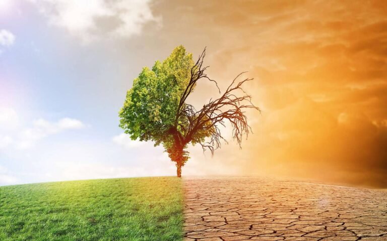 Dérèglement climatique
