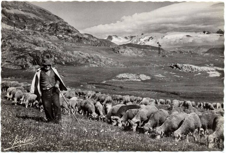 Le Pastoralisme dans les Préalpes D&rsquo;Azur