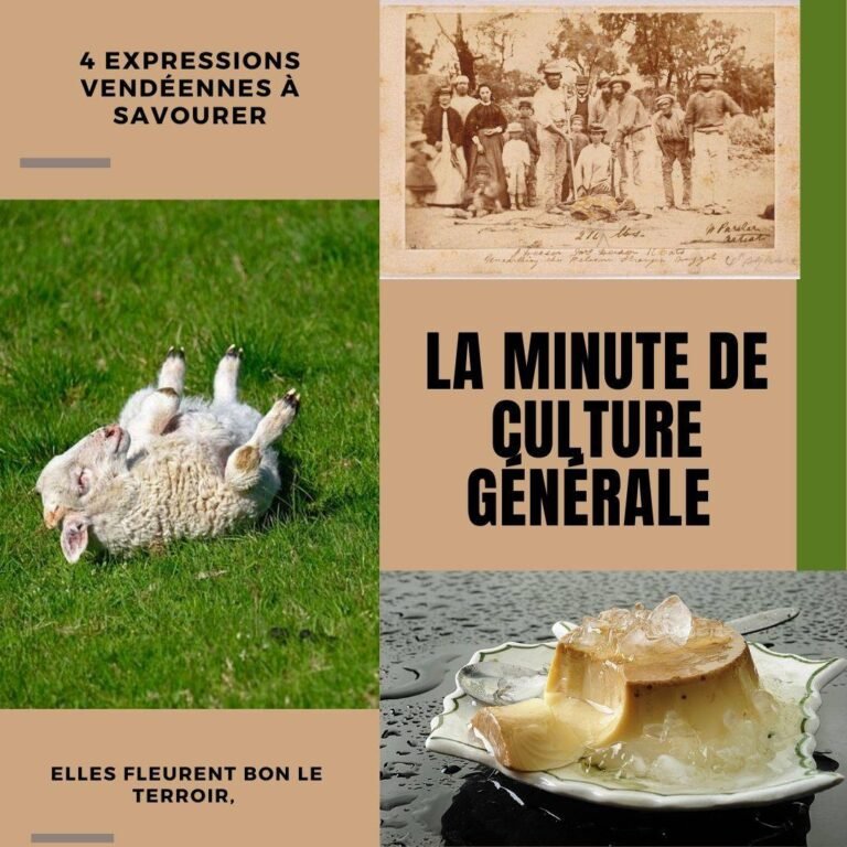 4 expressions vendéennes à savourer