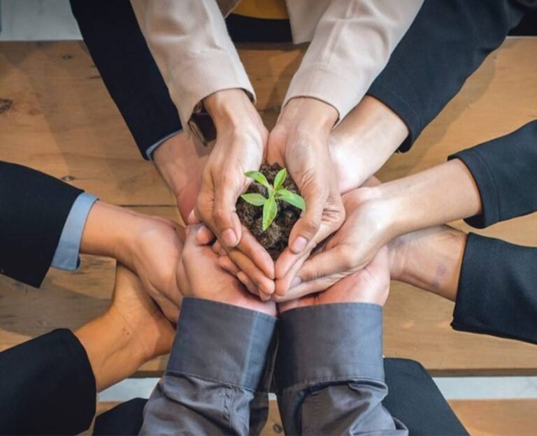 Pensez-vous qu&rsquo;une stratégie RSE dans une start up soit une bonne idée ?