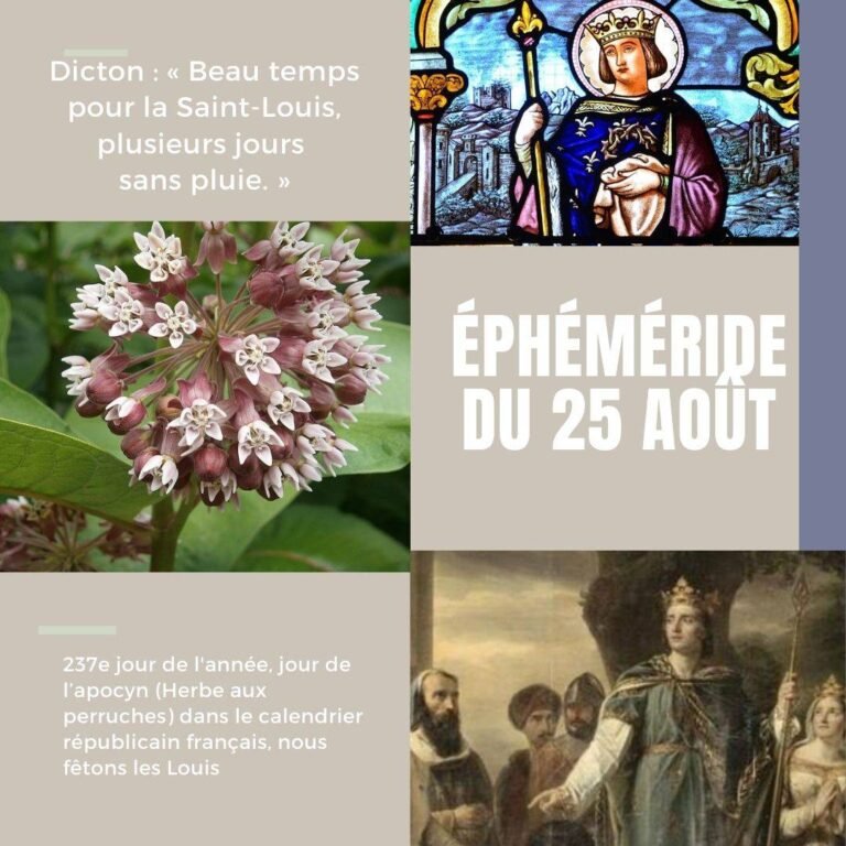 25 août, Saint Louis.