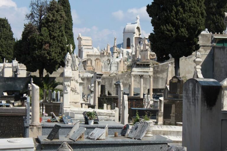 Sur les traces d’Alfred VAN CLEEF