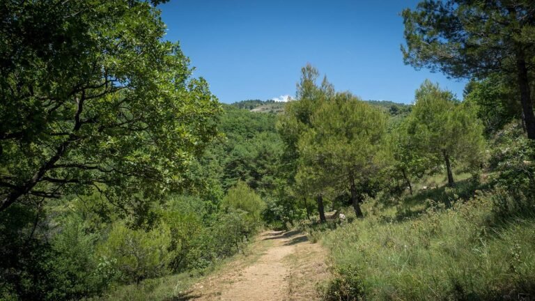 Le parc naturel départemental de Roquevignon