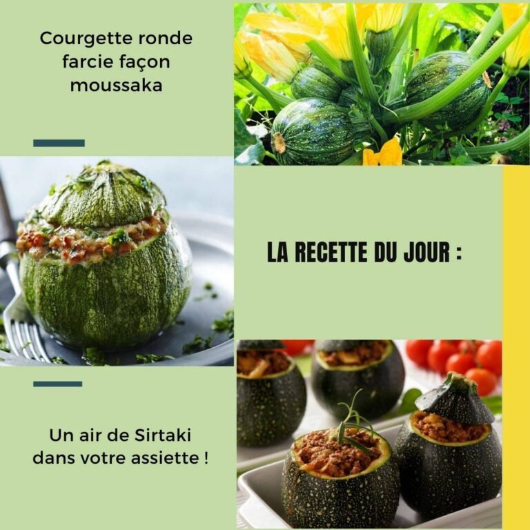Courgette ronde farcie façon moussaka