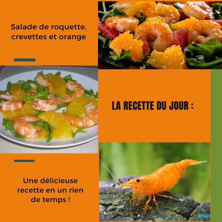 Salade de roquette, crevettes et orange