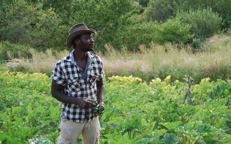 Pierre Koffi ALANDA