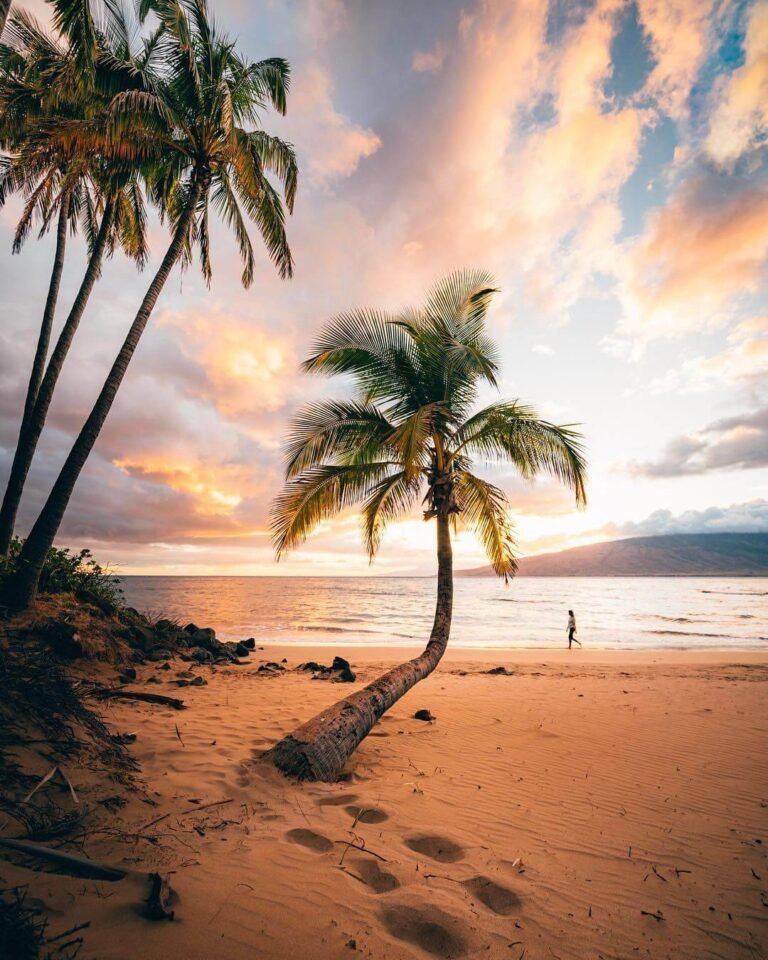 Hawaï, Indiana, Louisiane