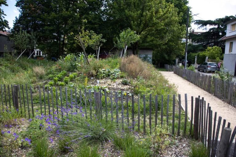 Journées de travail collectif dans les Jardins