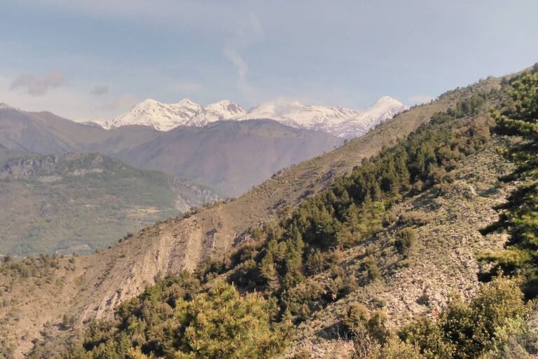 La Roche Fourquin