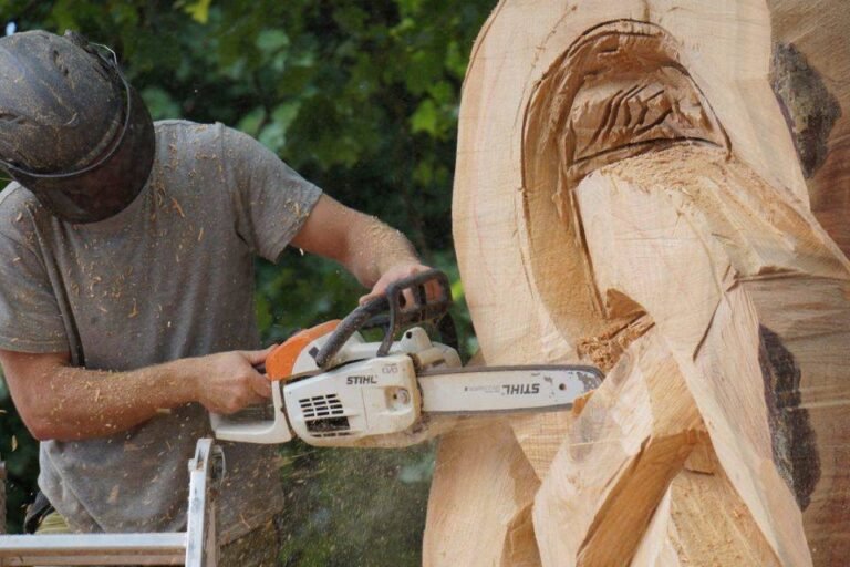 Découvrez la Magie de la Fête de la Forêt et dau Bòsc :