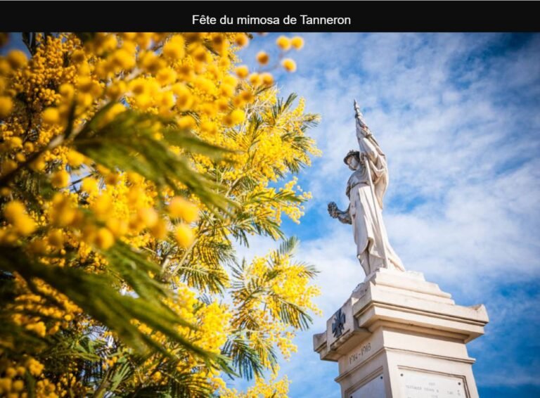 Fête du Mimosa de Tanneron est annulée