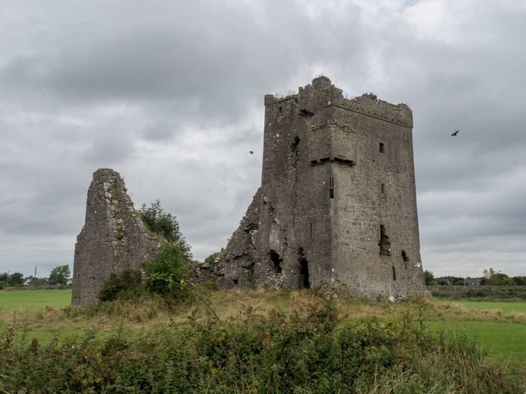 GrasseMat&rsquo; vous emmène à Tullamore