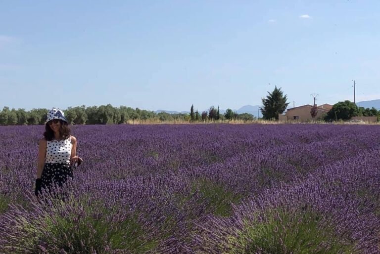 Autour de la Lavande