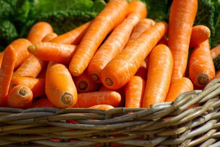 Marché des Rendez-Vous du Loup !