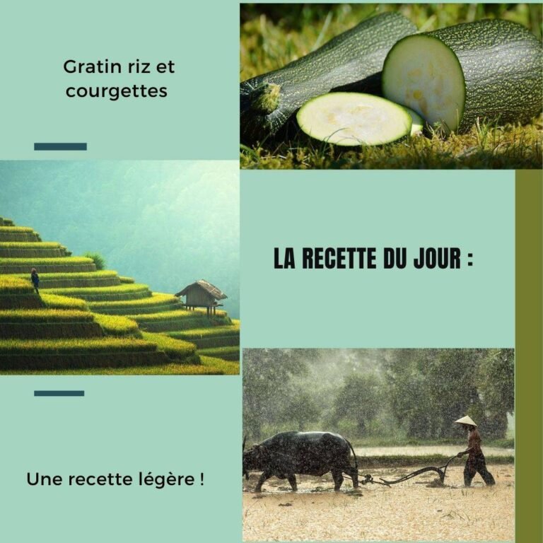 Gratin riz et courgettes
